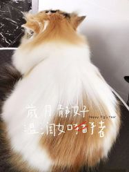 -丝语萱形象