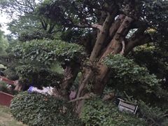 -汉水公园