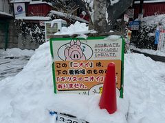 -宫城藏王狐狸村