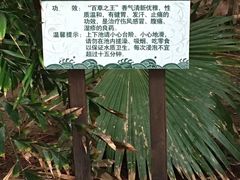 -龙达温泉生态城