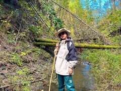 -峡谷浮石林景区