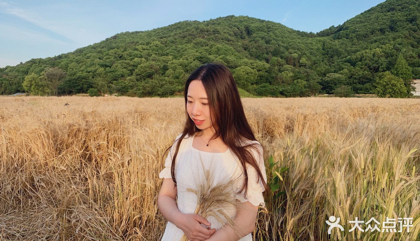 杭州滨江的麦田,在夕阳下奔跑吧