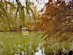 -上海海湾国家森林公园