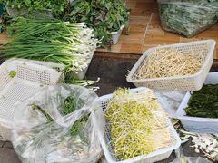 -杨记山珍鸡煲菌汤锅