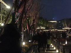 -北湖公园