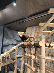 -Zoolung Zoolung动物主题公园(海信广场店)