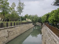 -神仙树公园