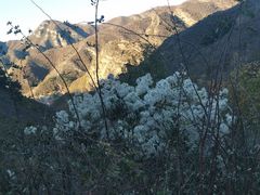 -灵山