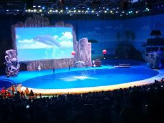 -华夏文旅海洋公园