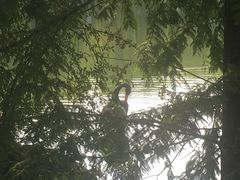 -浙江农林大学(东湖校区)