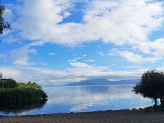 -洱海月湿地公园