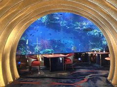 -迪拜帆船酒店海底餐厅