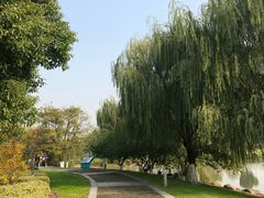-九里河湿地公园