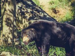 -杭州野生动物世界