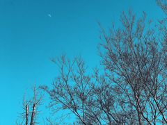 -蜀冈西峰生态公园