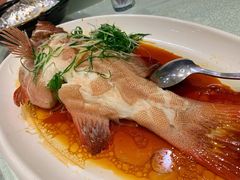 -大东海海鲜酒楼(渔人码头总店)