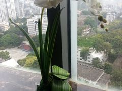 -厦门泰谷酒店(中山路镇海路地铁站店)