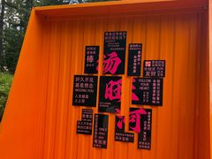 -汤旺河林海奇石景区