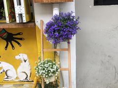 -茶是一枝花泡茶店