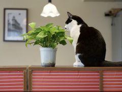 -路易时光(蕴川路店)