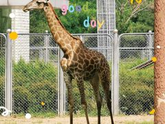 -石家庄市动物园