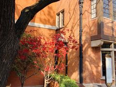 -66梧桐院·天平邻里汇(乌鲁木齐南路店)