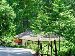 -素山寺森林公园