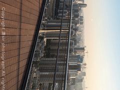 -板樟山森林公园