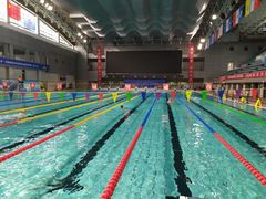 -陕西省游泳跳水馆