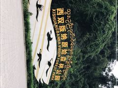 -西双版纳原始森林公园