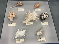 -天津古林古海岸遗迹博物馆