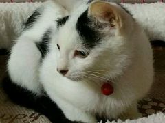 -骐奇宠物诊疗中心(南亭公路店)