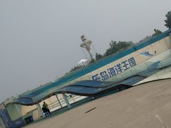 -秦皇岛乐岛海洋王国