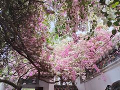 -深圳国际园林花卉博览园