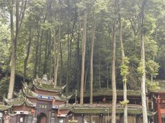 -青城山