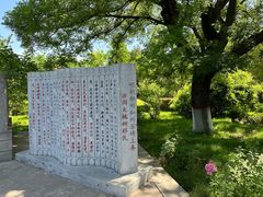 -大槐树寻根祭祖园