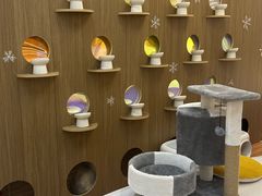 -COLOR PETS 撸猫馆·购猫·猫咖(长风大悦城店)