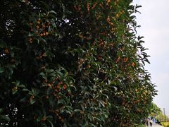 -江苏省惠山中等专业学校