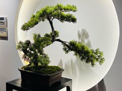 -席仁堂推拿按摩脊柱调理(世纪科贸大厦店)