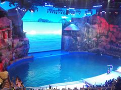 -芜湖新华联大白鲸海洋公园