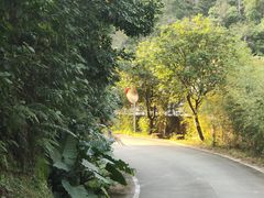 -广州市石门国家森林公园