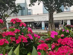 -海心沙亚运公园