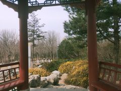 -大兴滨河森林公园