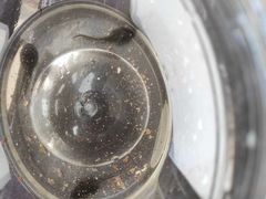 -重庆彩云湖湿地公园