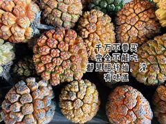 -双月湾