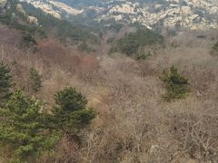 -崂山巨峰游览区