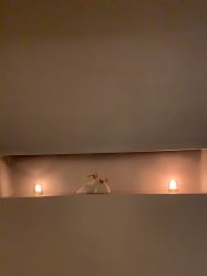 -依霖·艺术·SPA