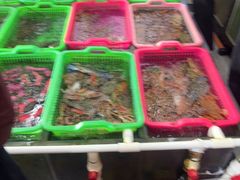 -众味海鲜大排档·活海鲜·潮汕味(南澳店)