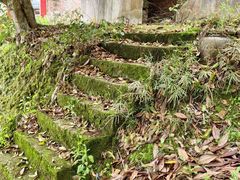 -新安江山水画廊风景区