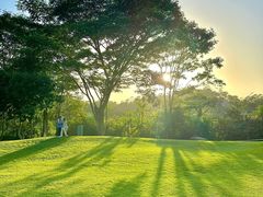 -长白岛森林公园